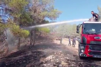 Şanlıurfa'da Orman Yangını