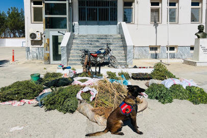 Uyuşturucu İle Mücadeleye Devam