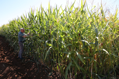 Anız Yakmadan Tarım Oluyormuş