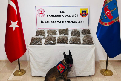 Operasyonda 6 Zanlı Tutuklandı