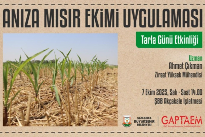 Büyükşehir Tarla Günü Yapacak