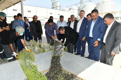 Vali Hasan Şıldak, Gıda OSB’de