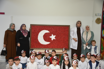 Şanlıurfa'da Cevizden Türk Bayrağı