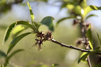 1,7 Milyar Lira Destek Ödemesi