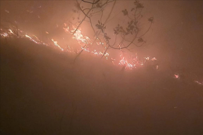 Ormanlık Alanda Yangın Çıktı