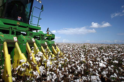 Urfa’da Hasat Makinesi Can Aldı