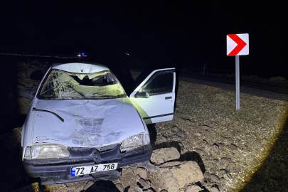 Şanlıurfa'da Araç Eşeğe Çarptı