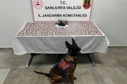 Şanlıurfa'da Uyuşturucu Operasyonu