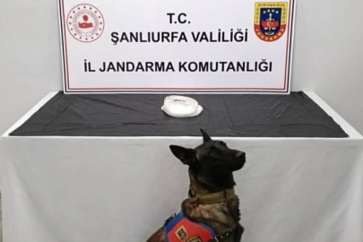 Operasyonda 2 Kişi Yakalandı