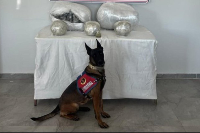 25 Kilogram Uyuşturucu Yakalandı