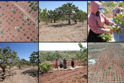 Akbaş’tan Düşündürücü Paylaşım