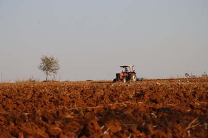 Kuraklığa Dayanıklı Tohum Önerisi