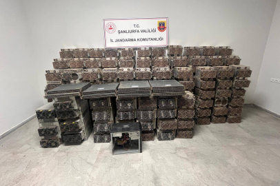 Kaçak Elektrikle Kripto Para İmalatı