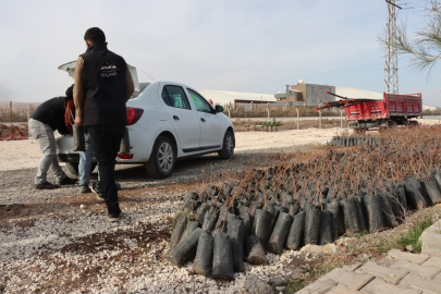 35 Bin Fıstık Fidanı Desteği