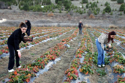 Talebe Yetişmekte Zorlanıyorlar