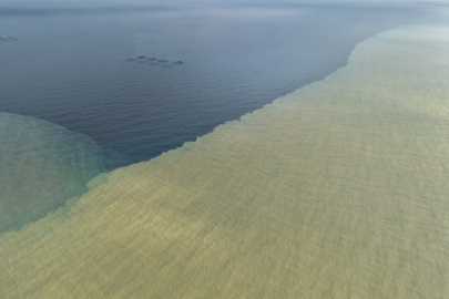 Denizin Rengi Kahverengiye Döndü