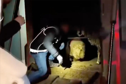 Hayvan Karnında Zehir Sevkiyatı