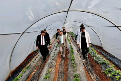 Tarım Lisesinde Mantar Hasadı