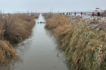 Çalışmalar Bugünde Sonuçsuz Kaldı