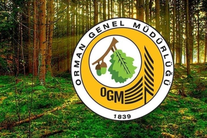 2B Arazilerine Yeni Düzenleme