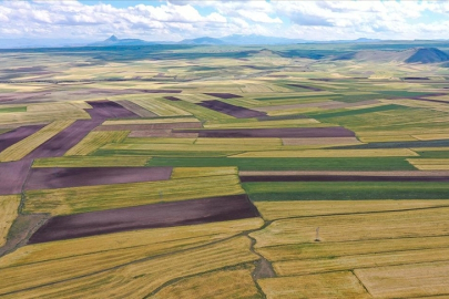 Denetimlerin Devam Ettiği Açıklandı