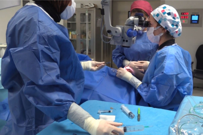 Tedavide Erken Tanının Önemi