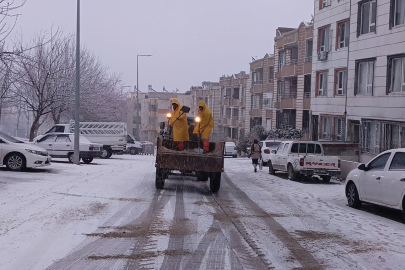 Haliliye, Tam Kadro Sahada