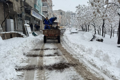 Eyyübiye’de Karla Mücadele