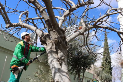 Parklarda Yaz Hazırlığı Başladı