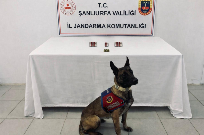 Urfa’da Jandarmadan Operasyonlar