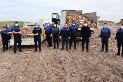 5 Bin Koli Yumurta İmha Edildi