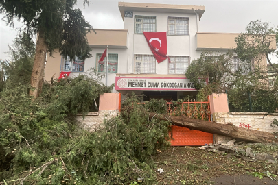 Urfa'da Eğitime 4 Gün Ara Verildi