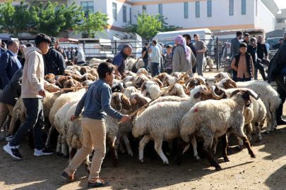 Şanlıurfa'da Kurban Hareketliliği