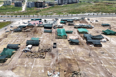 Haliliye Kurban Bayramına Hazır