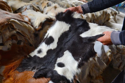 Kurban Derisinin Önemini Anlattı