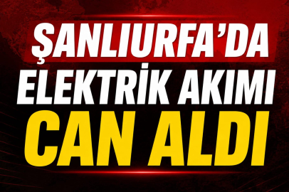 Urfa’da Elektrik Akımı Can Aldı