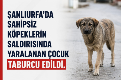 Yaralanan Çocuk Taburcu Edildi