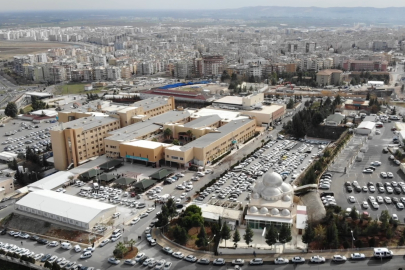 Şanlıurfa’da Kene Uyarısı