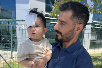 Sahipsiz Köpeğin Saldırısına Uğradı