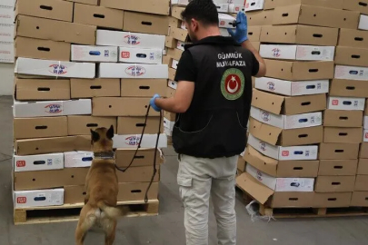 1,2 Ton Uyuşturucu Ele Geçirildi
