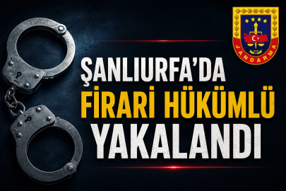 Urfa'da Firari Hükümlü Yakalandı