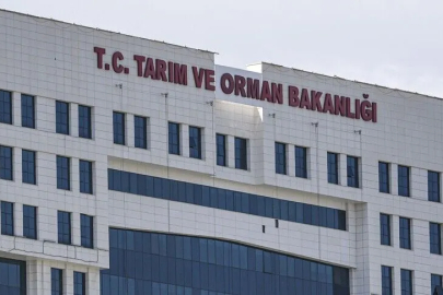 1874 Sözleşmeli Personel Alacak