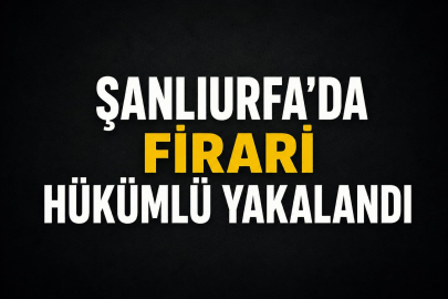 Urfa'da Firari Hükümlü Yakalandı