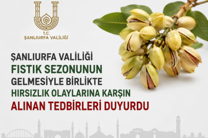Urfa’da Fıstık Hırsızlığına Dikkat