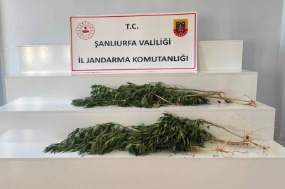 Operasyonlarda 2 Şüpheli Yakalandı
