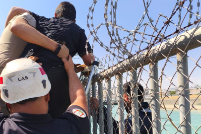 Şanlıurfa'da 2 Çocuk Kurtarıldı