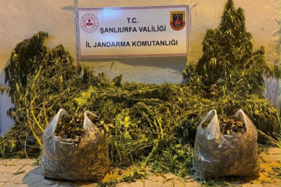 Operasyonlarda 2 Şüpheli Yakalandı