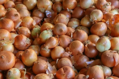 Soğan Gümrük Vergisine Düzenleme