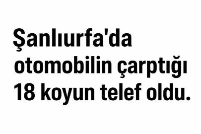 Urfa’da 18 Koyun Telef Oldu