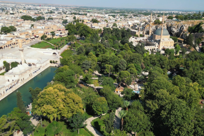 Balıklıgöl Platosunda Yenileme